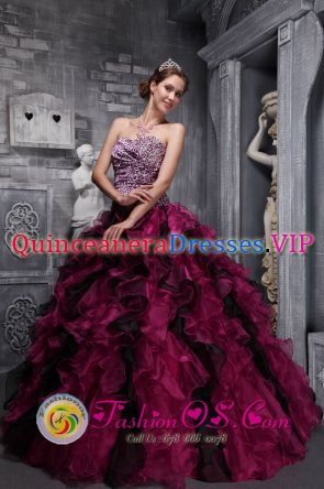 London Ontario/ON Leopord and Deaded Decorate Bodice Ruffles Wild Fushsia Quinceanera Dress Custom Made 