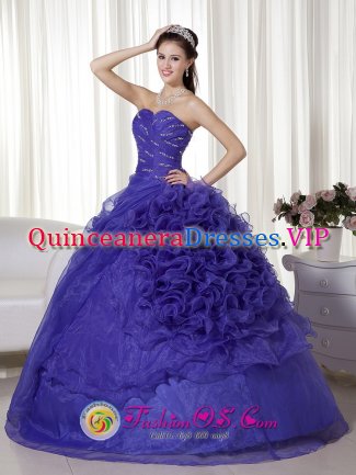 Apex North Carolina/NC Gorgeous Beaded and Ruched Bodice For Quinceanera Dress With Purple Ball Gown