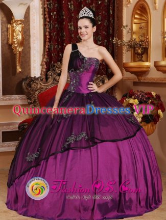 North Miami Beach Florida/FL One Shoulder Purple Appliques Bodice For Modest Quinceanera Dress Custom Made