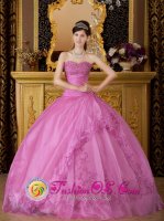 Baraboo Wisconsin/WI The Brand New Style For Quinceanera Dress With Rose Pink Sweetheart Exquisite Appliques(SKU QDZY080-ABIZ)