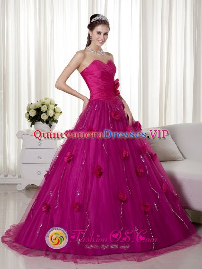 Barre Vermont/VT Remarkable Brush Train and Hand Made Flowers Quinceanera Dress With Fuchsia Sweetheart - Click Image to Close