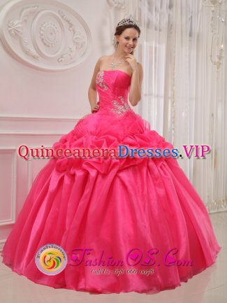 Banda del Rio Sali Argentina Ruched and Beading For Popular Hot Pink Quinceanera Dress With Taffeta and organza