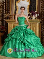 Southaven Mississippi/MS Spring Green With Pick-ups Appliques Decorate Waist For Romantic Strapless Quinceanera Dress(SKU QDZY204-GBIZ)