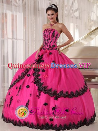 Bartlett Tennessee/TN Perfect Organza and Taffeta Appliques Decorate Bodice Hot Pink Quinceanera Dress For Strapless Ball Gown