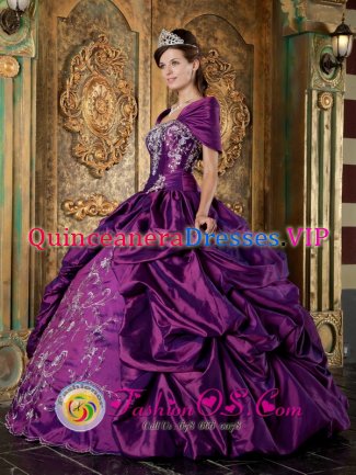 Elegent Short Sleeves and Embroidery For Quinceanera Dress With Purple Pick-ups In La Moure North Dakota/ND