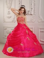 Belle Fourche South Dakota/SD Hot Pink Appliques Decorate Strapless Layered Ruching Quinceanera Dress(SKU QDZY081J2BIZ)