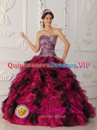 Islip NY Stylish Multi-color Leopard and Organza Ruffles Quinceanera Dress With Sweetheart Neckline