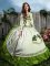 Olive Green Ball Gowns Embroidery and Ruffles Sweet 16 Dress Lace Up Organza Sleeveless Floor Length