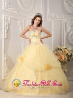 Bristol Tennessee/TN Beautiful Organza Light Yellow Sweetheart Quinceanera Dress With Appliques and Hand Made Flowers