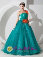 Freehold New Jersey/ NJ One Shoulder Organza Quinceanera Dress With Hand Made Flowers Custom Made