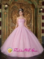 Santa Cruz de Barahona Dominican Republic Custom Made Strapless Pink Quinceanera Dress With Appliques