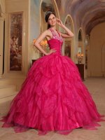 Romantic Embroidery Hot Pink Quinceanera Dress For Winter Halter Organza Ball Gown In Chariton Iowa/IA