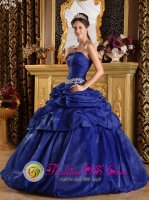 Esperanza Dominican Republic Strapless Ruched Bodice Sweet 16 Dress With Appliques and Pick-ups In South Carolina