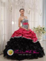 Gorgeous Zebra and Taffeta and Organza Beading and Pick-ups Colorful Ball Gown For Chugiak Alaska/AK Quinceanera Dress