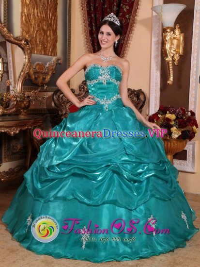 Lake Charles Louisiana/LA Pretty Strapless Appliques Brand New Turquoise Quinceanera Dress Organza Ball Gown - Click Image to Close