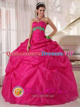 Wesley Chapel FL Wholesale Hot Pink Quinceanera Dress With Sweetheart Organza Appliques hand flower decorate Pick-ups