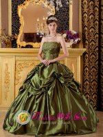 Hot Springs South Dakota/SD Brand New Olive Green Quinceanera Dress Clearrance With Taffeta Appliques And Pick-ups Decorate(SKU QDZY149J4BIZ)