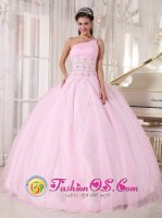 Luxurious Baby Pink One Shoulder Quinceanera Dress Beading Floor Length Tulle For Sweet 16 In Eau Claire Wisconsin/WI(SKU PDZY751-HBIZ)