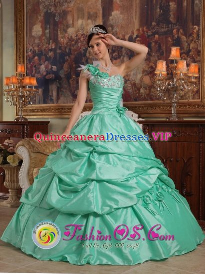 Anchor Point Alaska/AK Apple Green One Shoulder Pick-ups Elegant Quinceanera Dress With Hand Flowers Taffeta - Click Image to Close