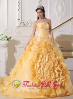 Exquisite Gold Quinceanera Dress For Strapless Chapel Train Taffeta and Organza pick ups Beading Decorate Wasit Ball Gown In Casa Grande AZ　(SKU QDZY443y-1BIZ)