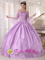 Rapid City South Dakota/SD Stylish Taffeta and Organza Lilac Off The Shoulder Long Sleeves Quinceanera Gowns With Appliques For Sweet 16(SKU PDZY574J10BIZ)