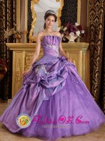 Sucre colombia Strapless Taffeta Customize Lavender Appliques Quinceanera Dress With Hand flower and Pick ups Decorate