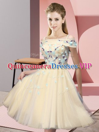 Gold Off The Shoulder Lace Up Appliques Quinceanera Court Dresses Short Sleeves