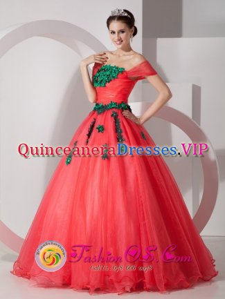 Goodlettsville Tennessee/TN Pretty One Shoulder Organza Quinceanera Dress With Hand Made Flowers Custom Made