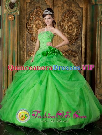 Altham Lancashire Spring Green Hand Made Flowers Appliques Decorate Fabulous Quinceanera Dress With Floor-length Organza