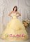 Chester Connecticut/CT Beautiful Organza Light Yellow Sweetheart Quinceanera Dress With Appliques and Hand Made Flowers