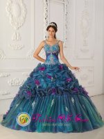 Thonon-les-Bains France Teal Ball Gown Straps Chapel Train Organza Quinceanera Dress