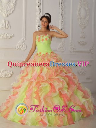 Annapolis Junction Maryland/MD Gorgeous Strapless Quinceanera Dress With Hand Made Flowers Ruffles Layered and Ruched Bodice