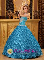 Classical Sky Blue Quinceanera Dress For Glenville West virginia/WV Appliques Sweetheart Fabric With Rolling Flowers Ball Gown