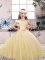 Champagne Sleeveless Tulle Lace Up Little Girl Pageant Dress for Party and Wedding Party