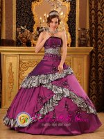 Woonsocket South Dakota/SD Stylish Embroidery Zebra Dark Purple Quinceanera Dress With Taffeta Ball Gown(SKU QDZY074J2BIZ)