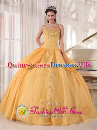 Gorgeous Gold Appliques Spaghetti Straps Revere Massachusetts/MA Quinceanera Dress With Taffeta and Organza Ball Gown