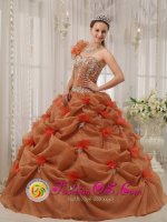 Flippin Arkansas/AR Discount One Shoulder Organza Appliques Decorate Up Bodice Rust Red Quinceanera Dress For Hand Made Flower Decorate(SKU QDZY302-BBIZ)