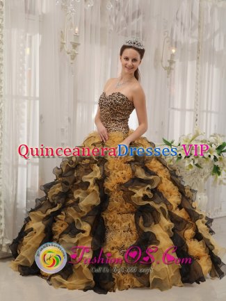 Canandaigua NY Unique Multi-color Custom Made Zebra Ruffles Sweetheart Quinceaners Dress in Spring