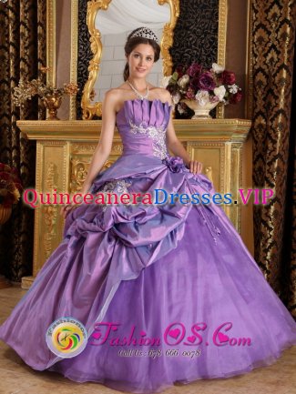 Strapless Taffeta Customize Lavender Appliques Quinceanera Dress Albany NY With Hand flower and Pick-ups Decorate