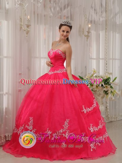 Stylish Wholesale Fushia Sweetheart Appliques Decorate Quinceanera Dresses Party Style in Conway South Carolina S/C - Click Image to Close