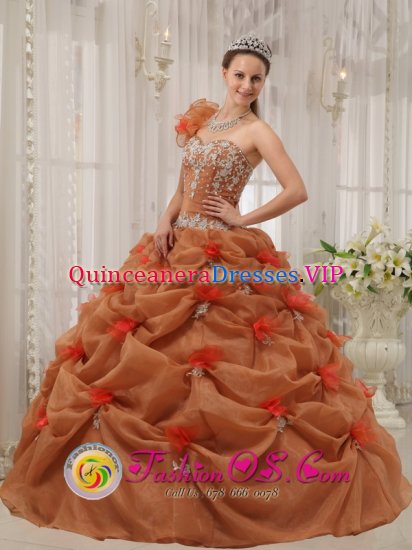 Tampa FL Discount One Shoulder Organza Appliques Decorate Up Bodice Rust Red Quinceanera Dress For Hand Made Flower Decorate - Click Image to Close