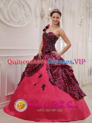 Bellbrook Ohio/OH One Shoulder Hand Zebra Made Flowers Sweet 16 Dress Coral Red For Gaduation