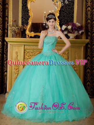 Eddyville Kentucky/KY AffordableTurquoise Quinceanera Dress Strapless Organza Beading Ball Gown