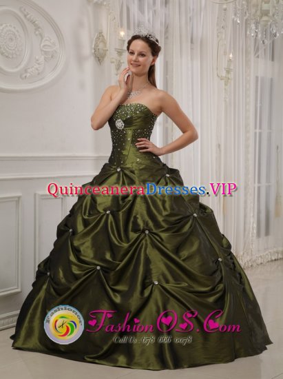 Dayton Tennessee/TN Exquisite Olive Green Quinceanera Dress With Deaded Decorate taffeta For Sweet 16 Quinceaners - Click Image to Close