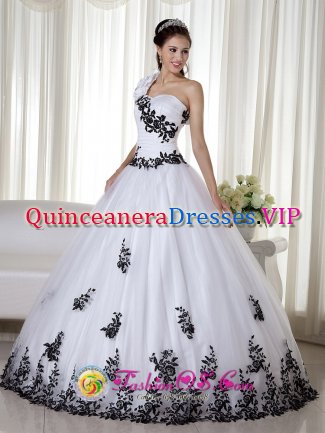 New Kensington Pennsylvania/PA One Shoulder White Embroidery Ball Gown Floor-length Taffeta and Organza For Quinceanera Dress