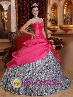 Guateque colombia Taffeta and Zebra For Quinceanera Dress With Beading and Hand Made Flowers