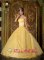 Lebanon Tennessee/TN Gorgeous Appliques Decorate Bodice Yellow Quinceanera Dress In New York Strapless Organza Ball Gown