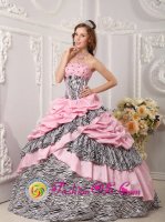 Romantic Pink Quinceanera Dress Taffeta and Zebra For Sweet 16 With Pick-ups Beading Ball Gown In Burlington Kansas/KS