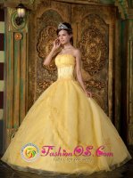 Gorgeous Appliques Decorate Bodice Yellow Villa Altagracia Dominican Republic Quinceanera Dress In New York Strapless Organza Ball Gown(SKU QDZY088y-3BIZ)