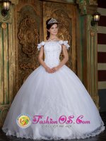 Long Ashton Avon Custom Made Off The Shoulder For Quinceanera Dress With Lace Appliques and Hand Made Flower Decorate